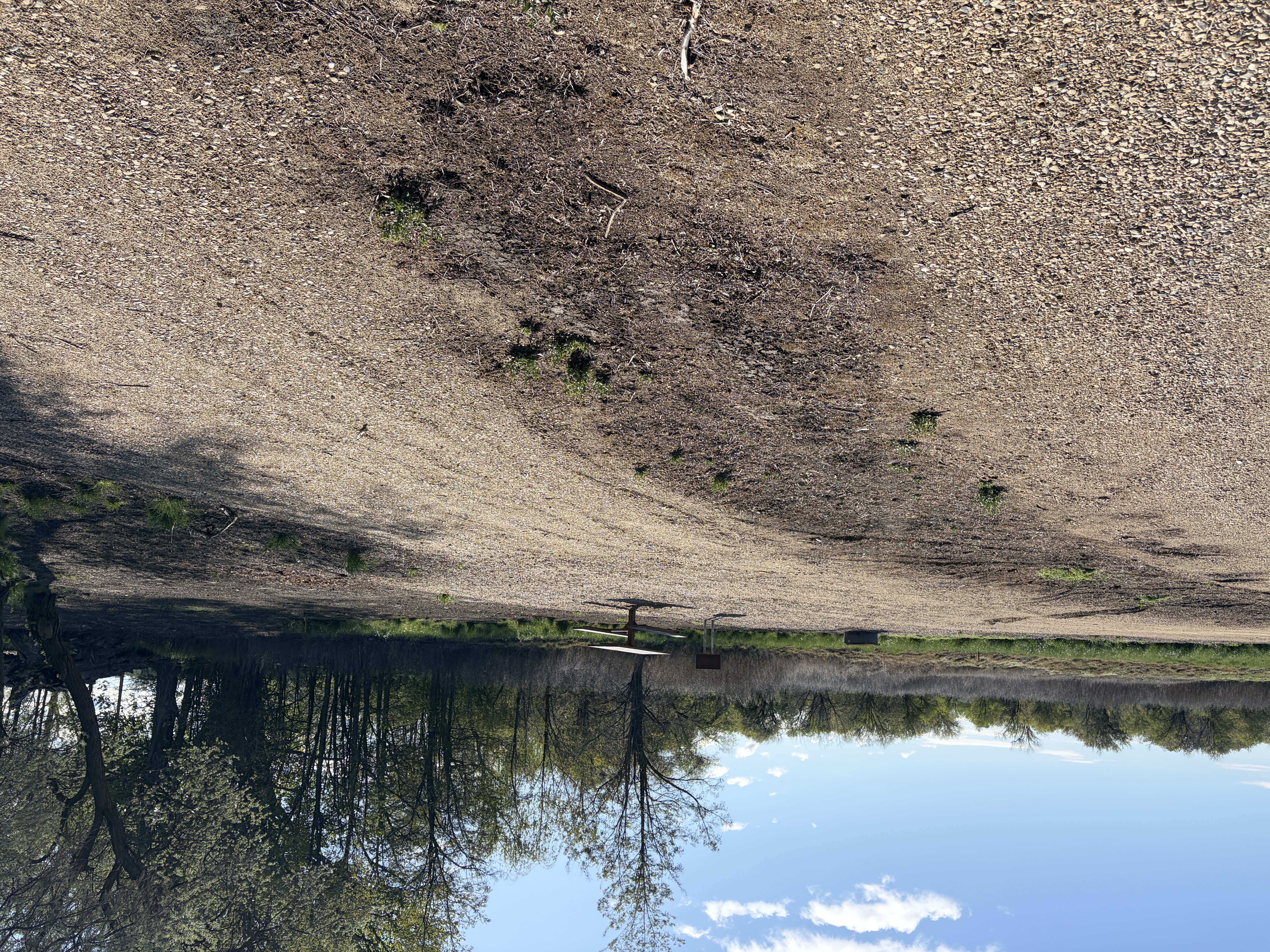 Martin Landing's Campsites