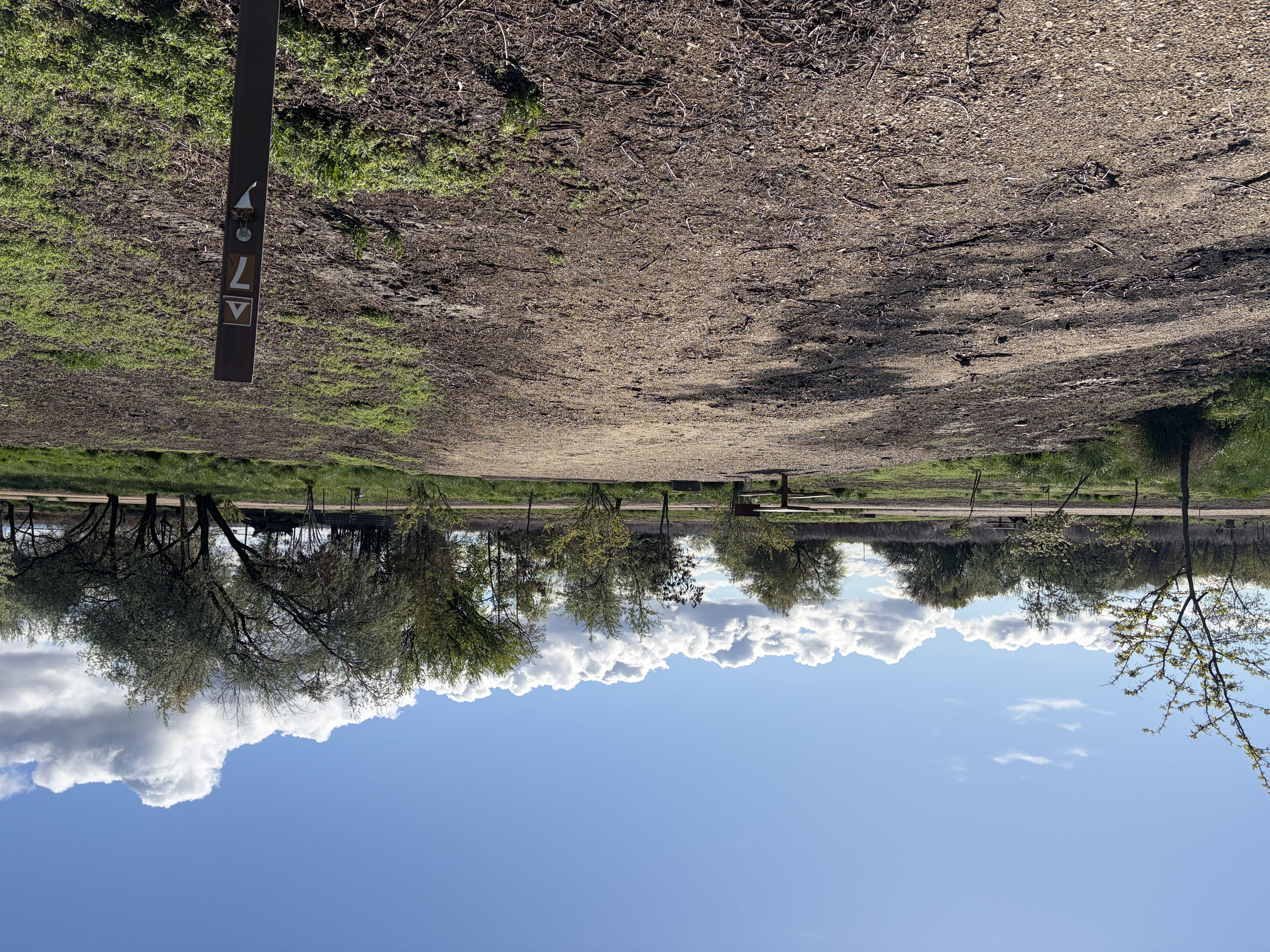 Martin Landing's Campsites