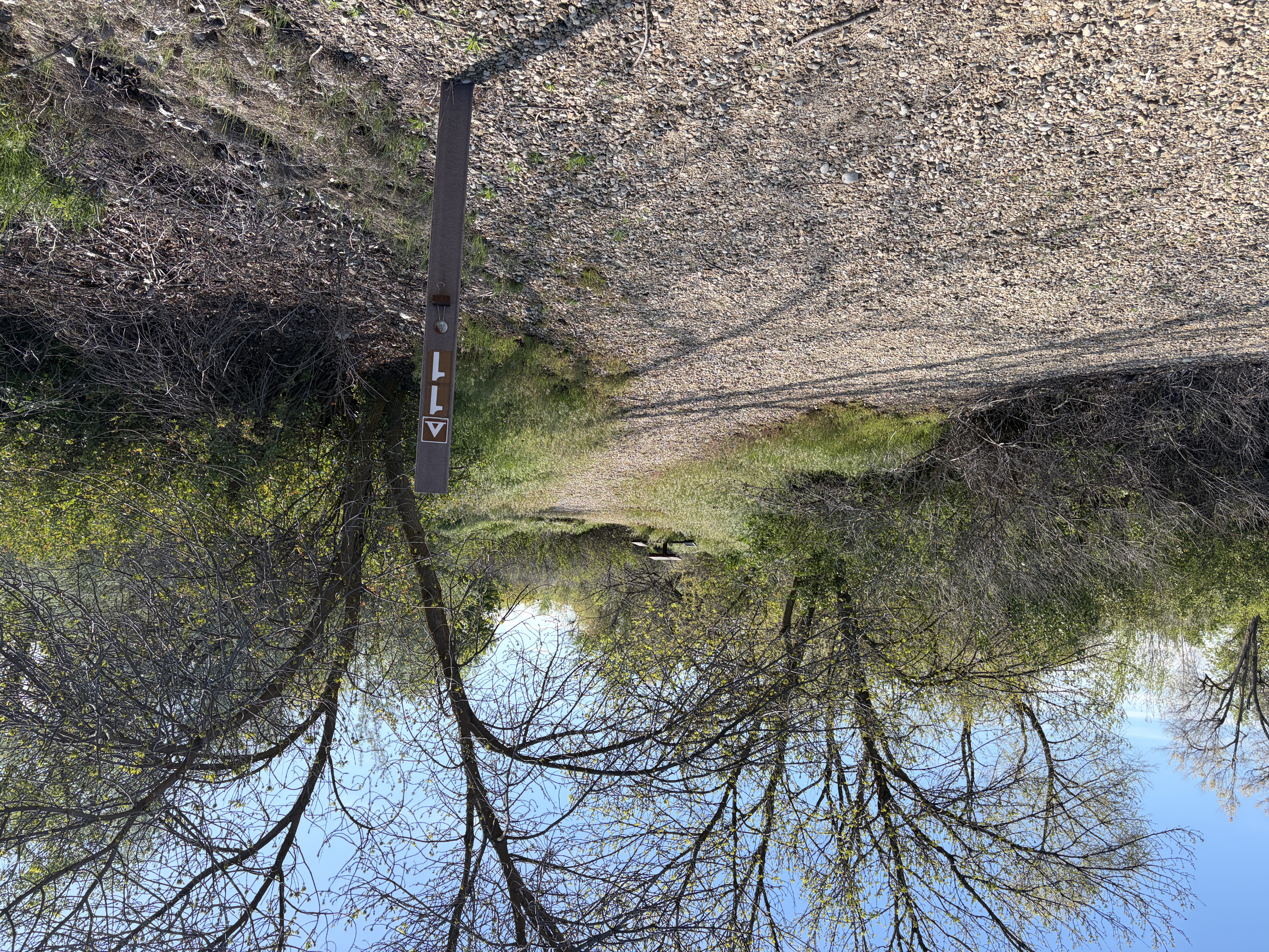 Martin Landing's Campsites