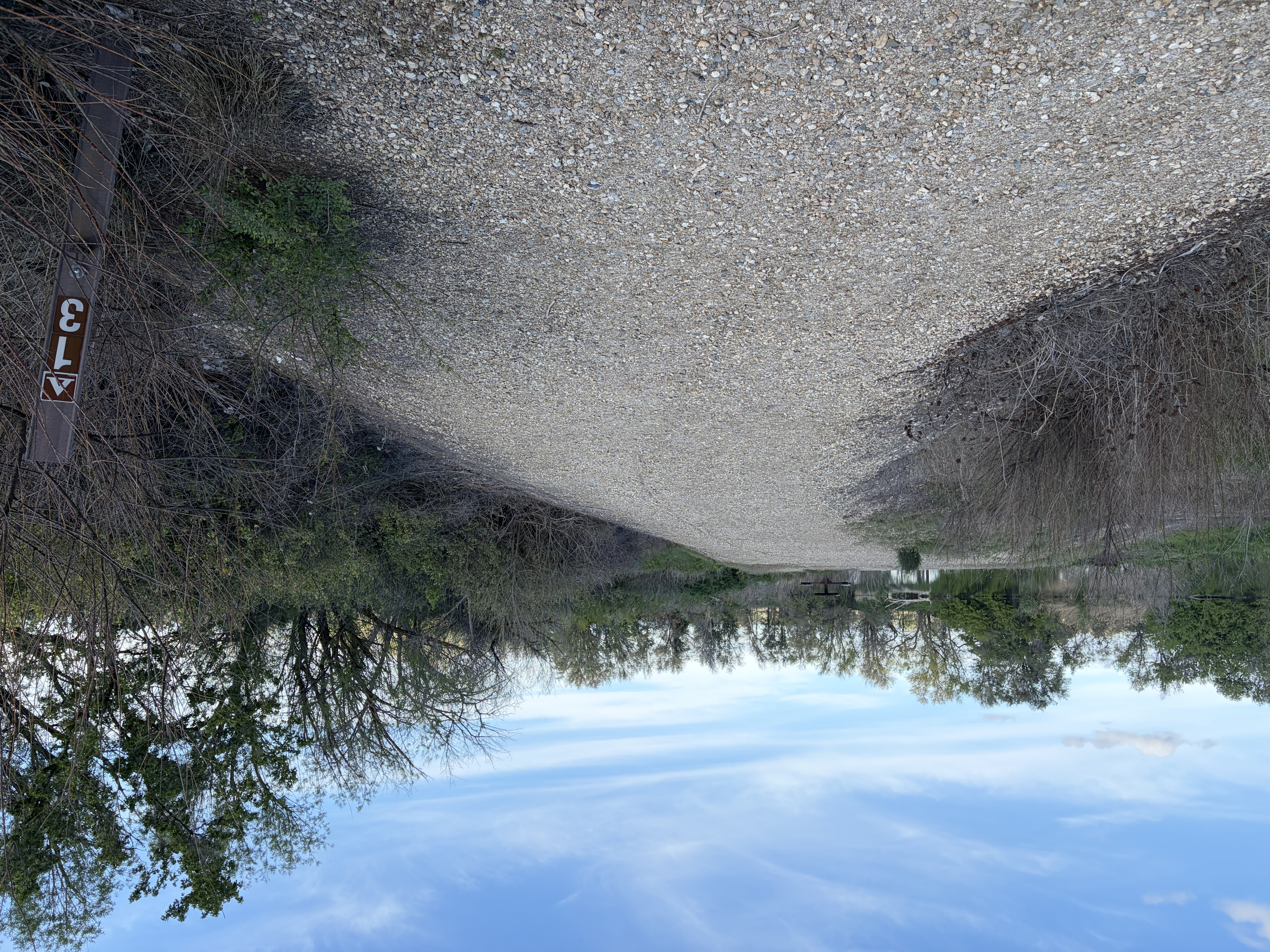 Martin Landing's Campsites