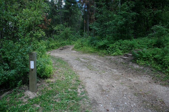 McCoy Creek Campground on Palisades Reservoir.