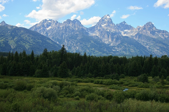 Mike Harris Campground