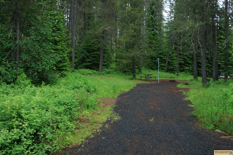 Typical camping site away from the water at Moose Creek Reservoir