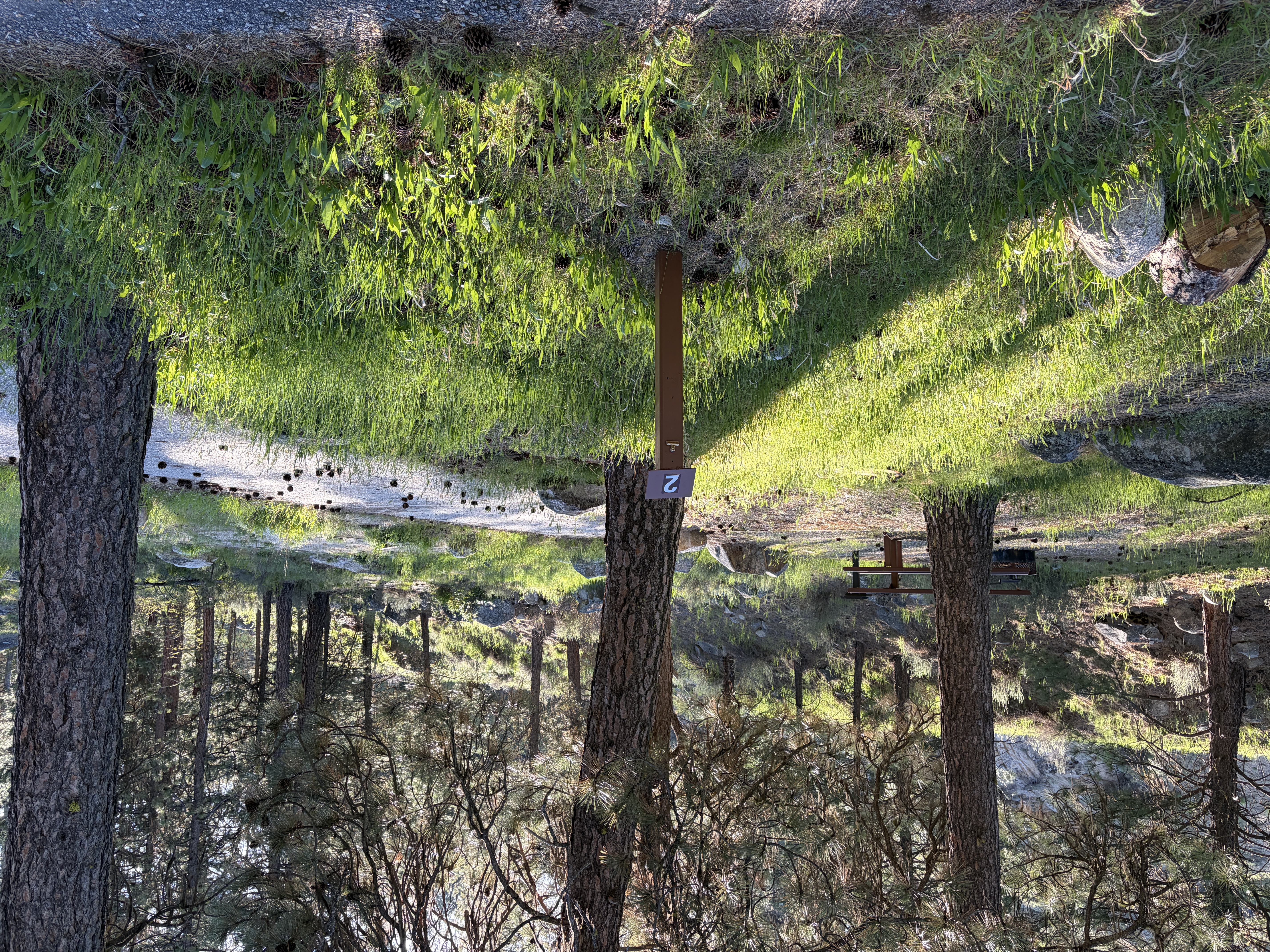 Mountain View Campground - Campsites