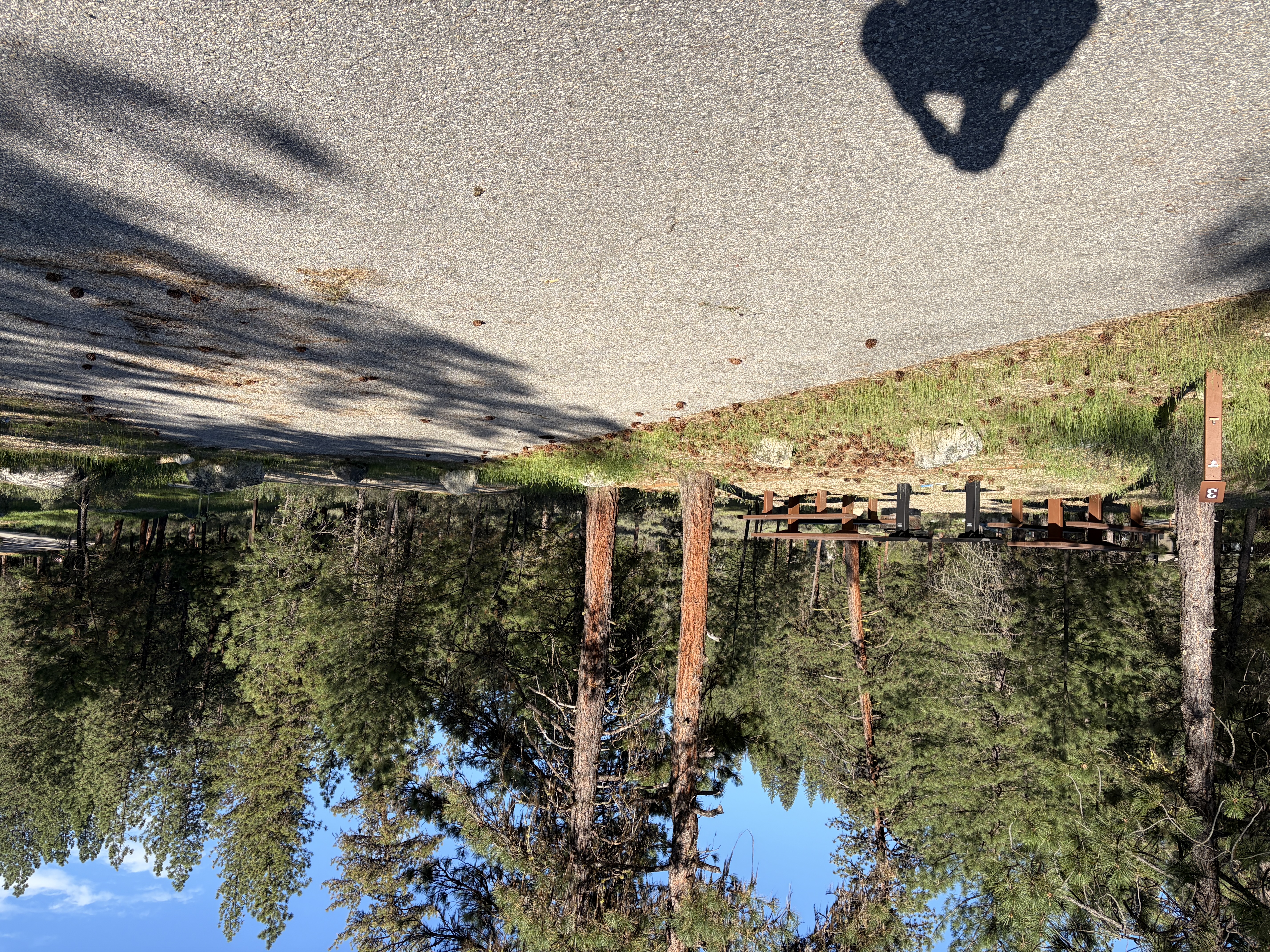 Mountain View Campground - Campsites