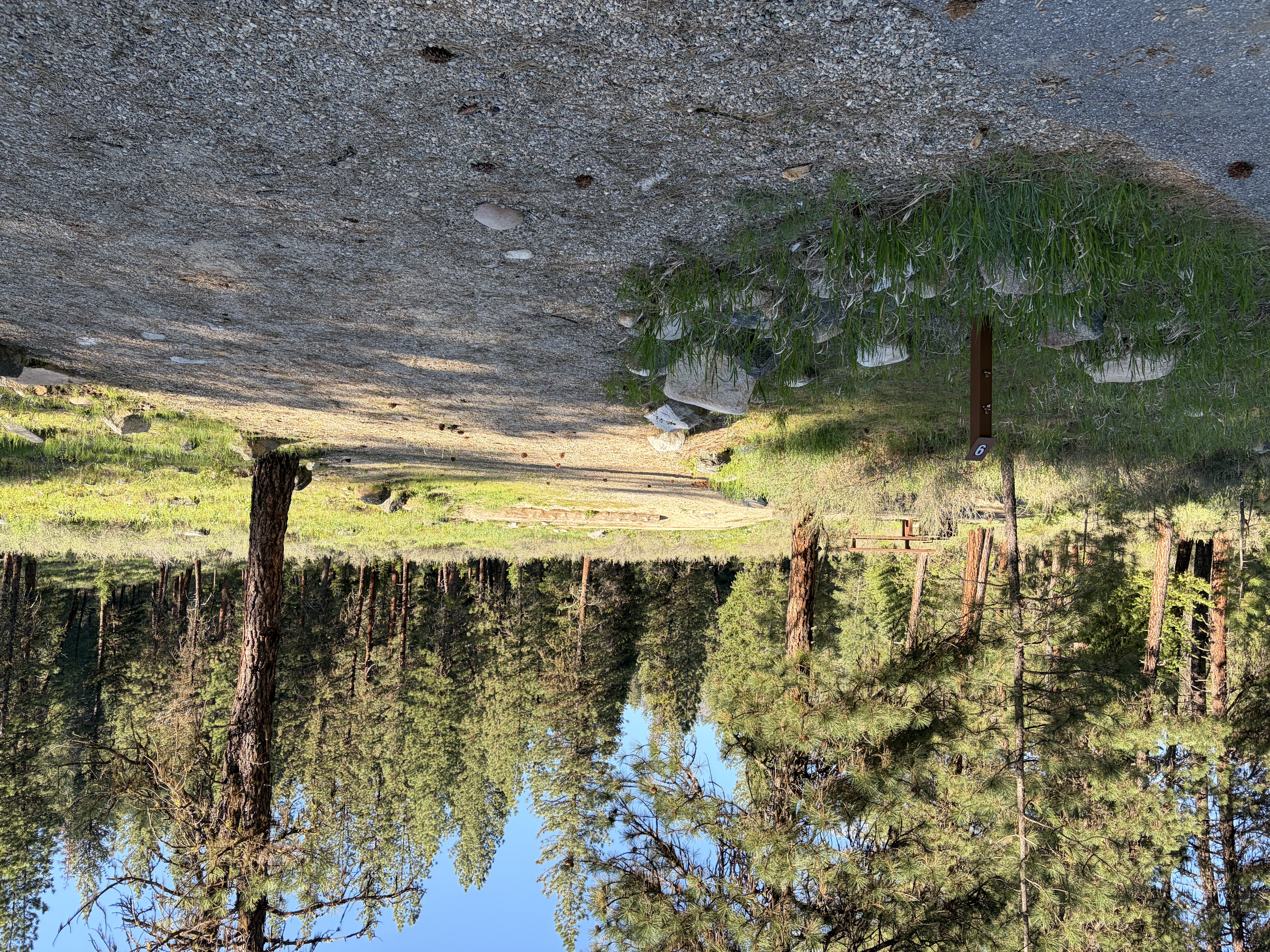 Mountain View Campground - Campsites
