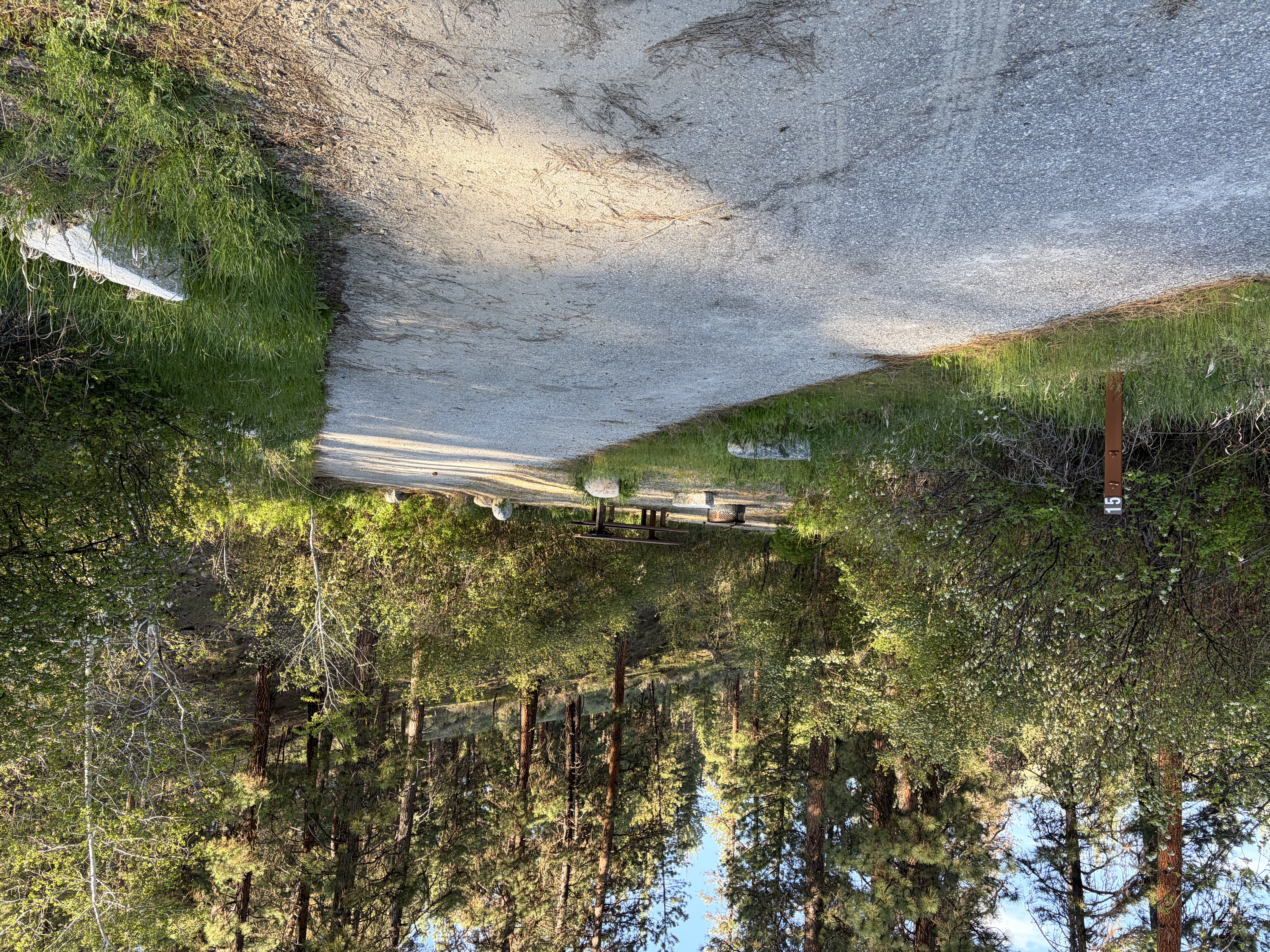 Mountain View Campground - Campsites