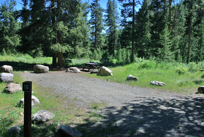 Murdock Campground Site 10