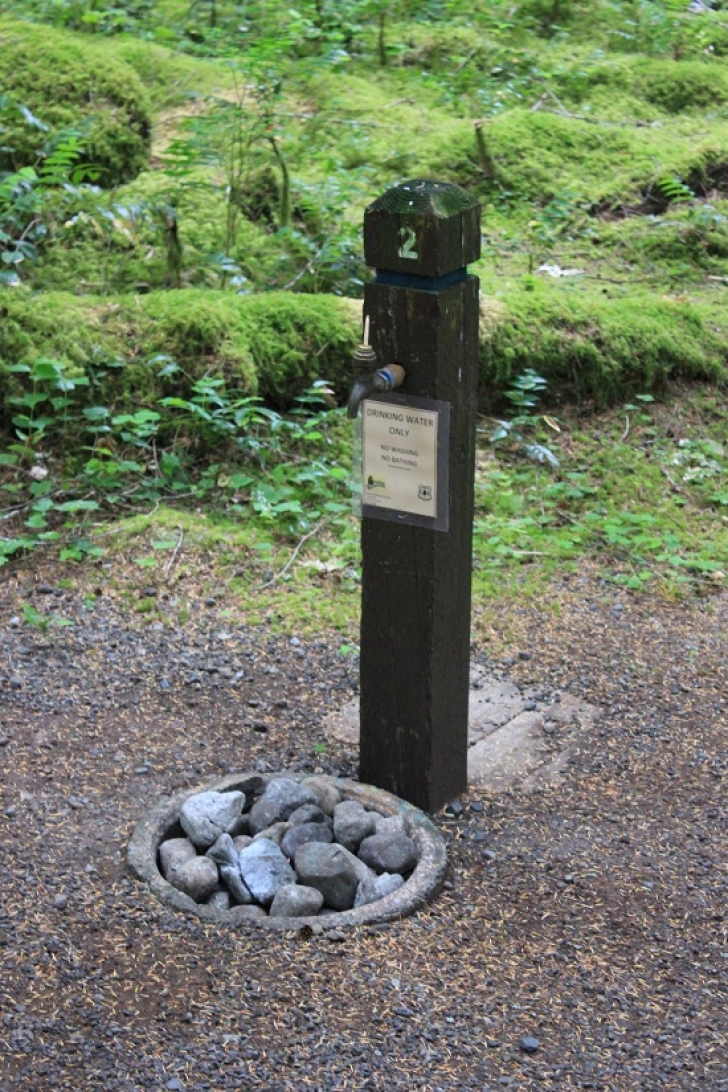 Camping in Washingtons North Fork Campground
