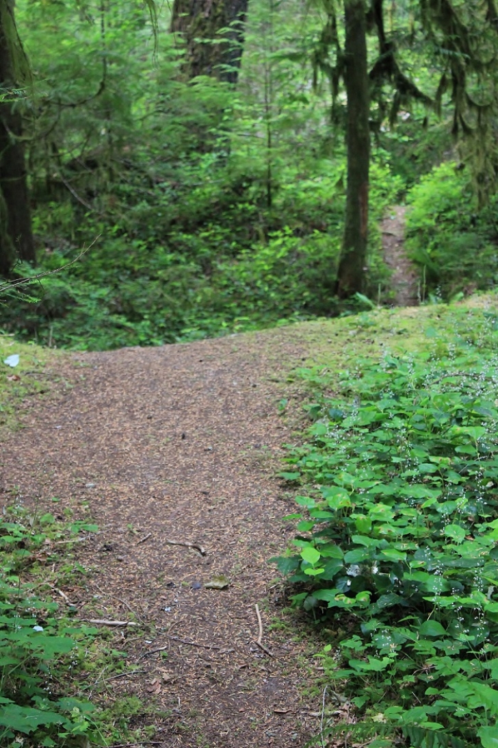 Camping in Washingtons North Fork Campground