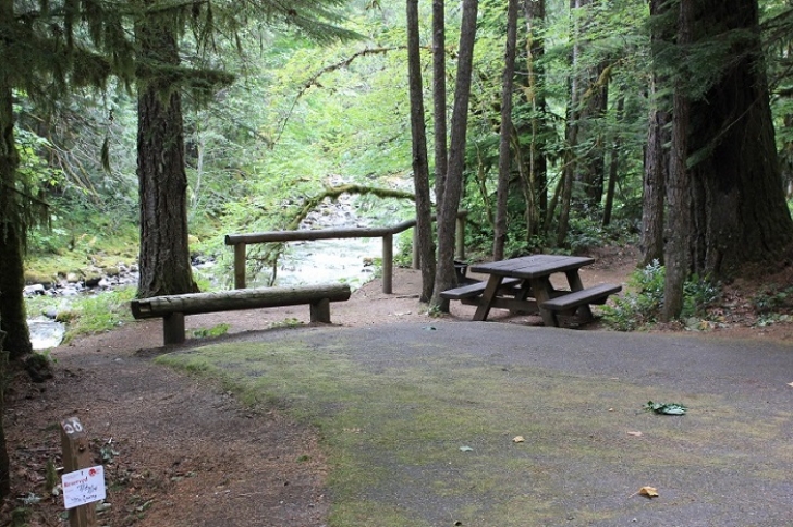 Camping in Washingtons North Fork Campground