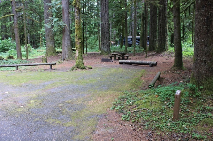 Camping in Washingtons North Fork Campground