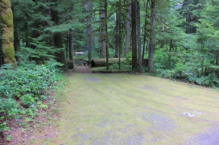 Camping in Washingtons North Fork Campground