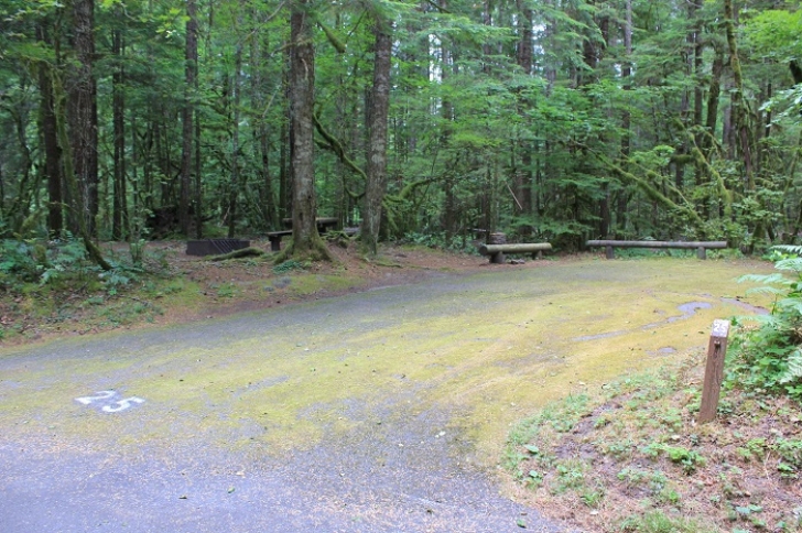 Camping in Washingtons North Fork Campground