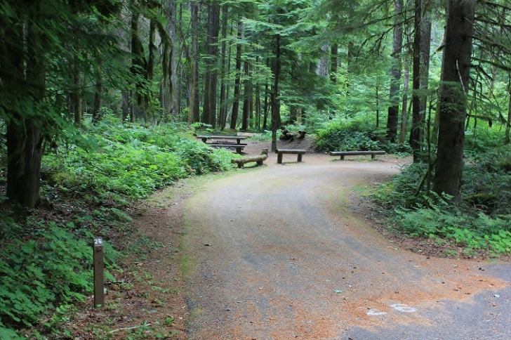 Camping in Washingtons North Fork Campground