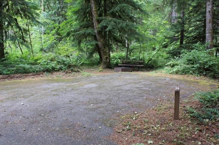 Camping in Washingtons North Fork Campground