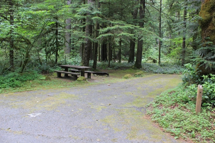 Camping in Washingtons North Fork Campground