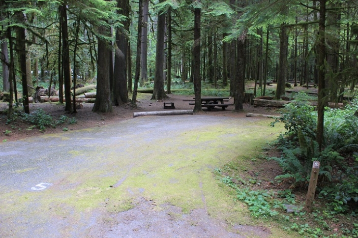 Camping in Washingtons North Fork Campground