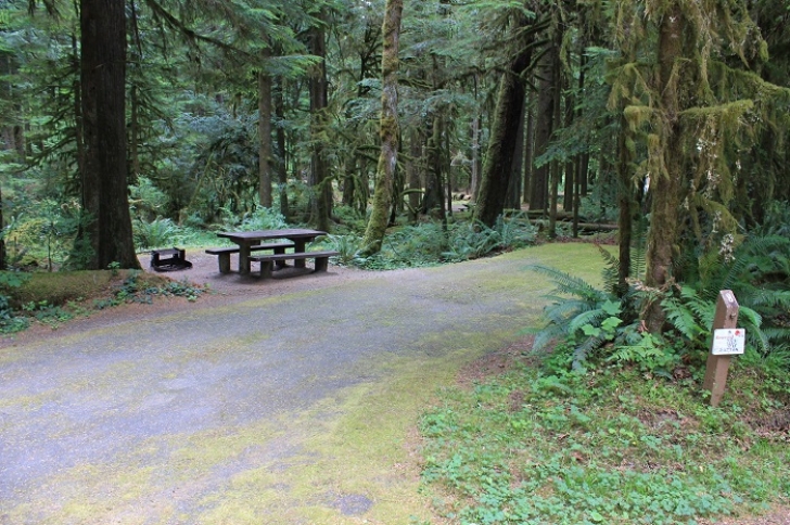 Camping in Washingtons North Fork Campground