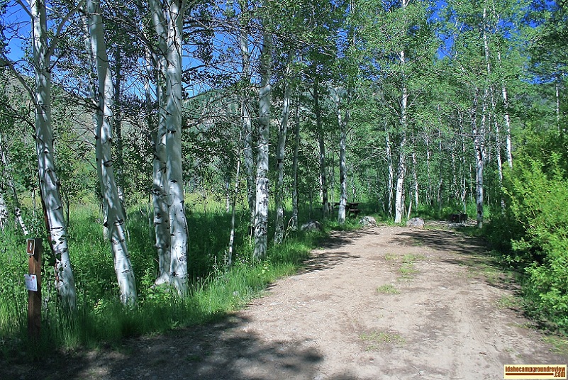 This is site 8 in North Fork Campground