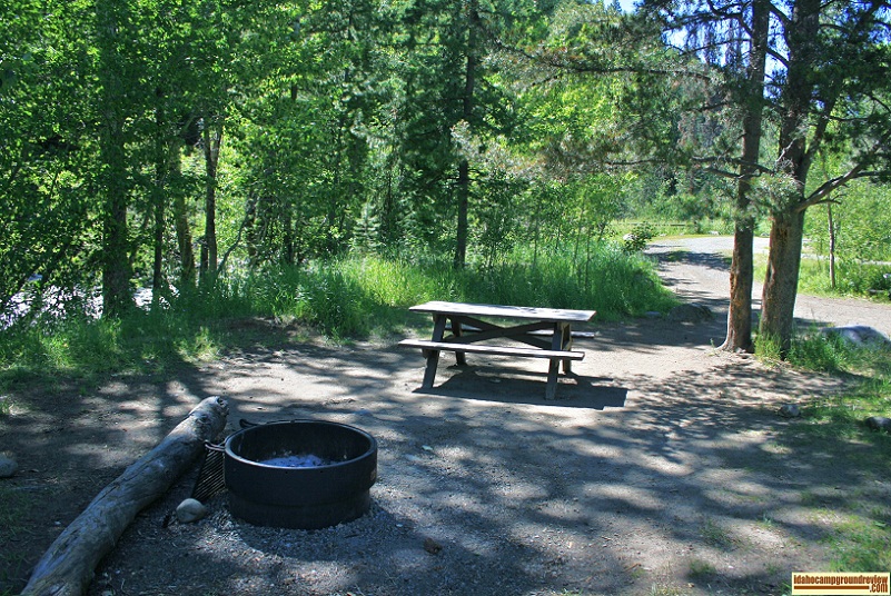 a typical site in North Fork Campground