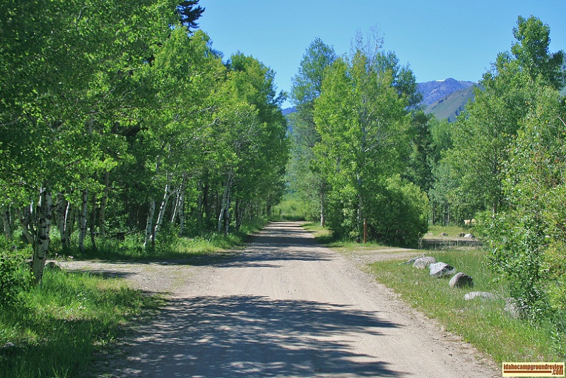 North Fork Campground lays along the Big Wood River in a dense stand of aspen trees.