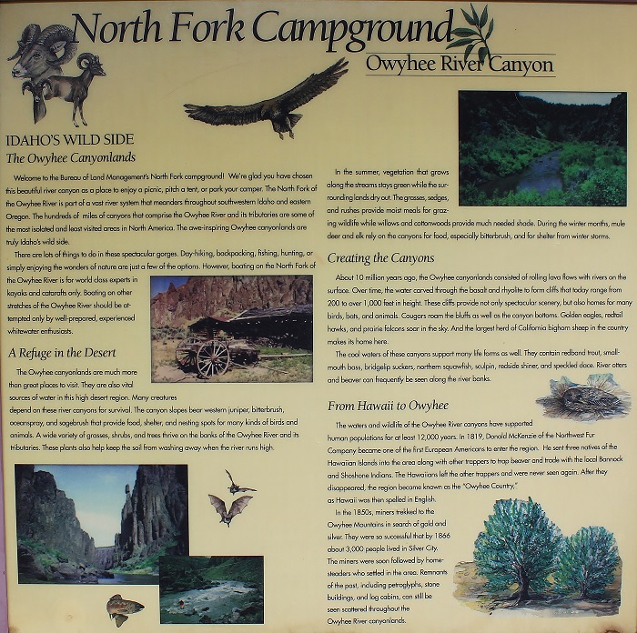 North Fork Recreation Site on the North Fork of the Owyhee River.
