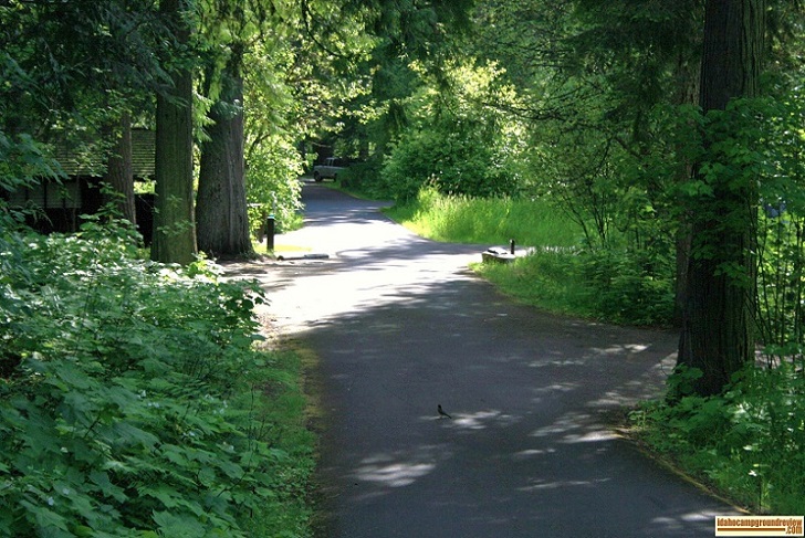 O'Hara Campground on the Selway River