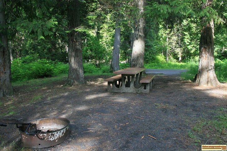 O'Hara Campground on the Selway River