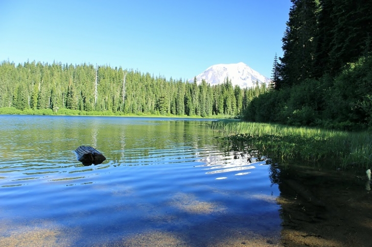 Camping in Washingtons Olallie Lake Campground.