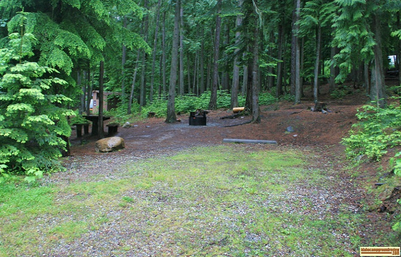 Osprey Campground on Priest Lake