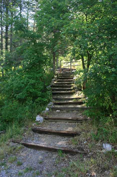 Palisades Creek Campground & Trailhead