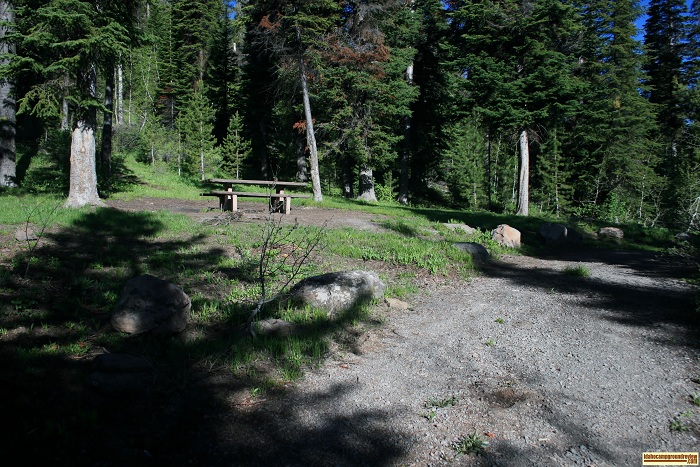 Campsite #3 in Pettit Campground.