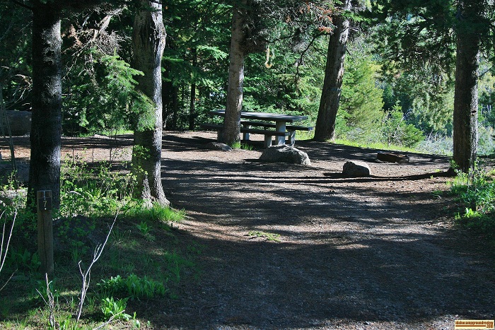 Campsite #7 in Pettit Campground.