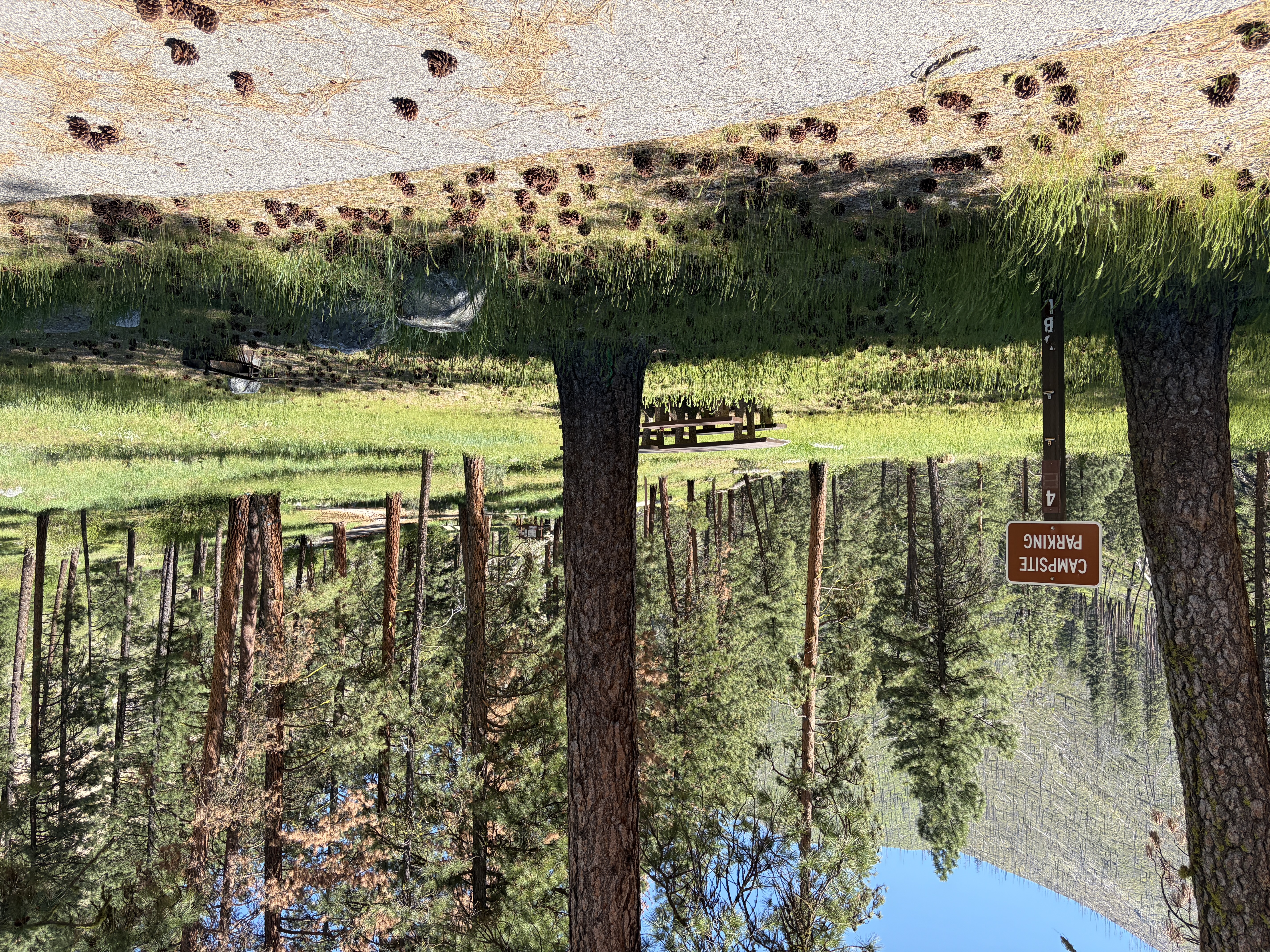 Pine Flats Campground - Campsites