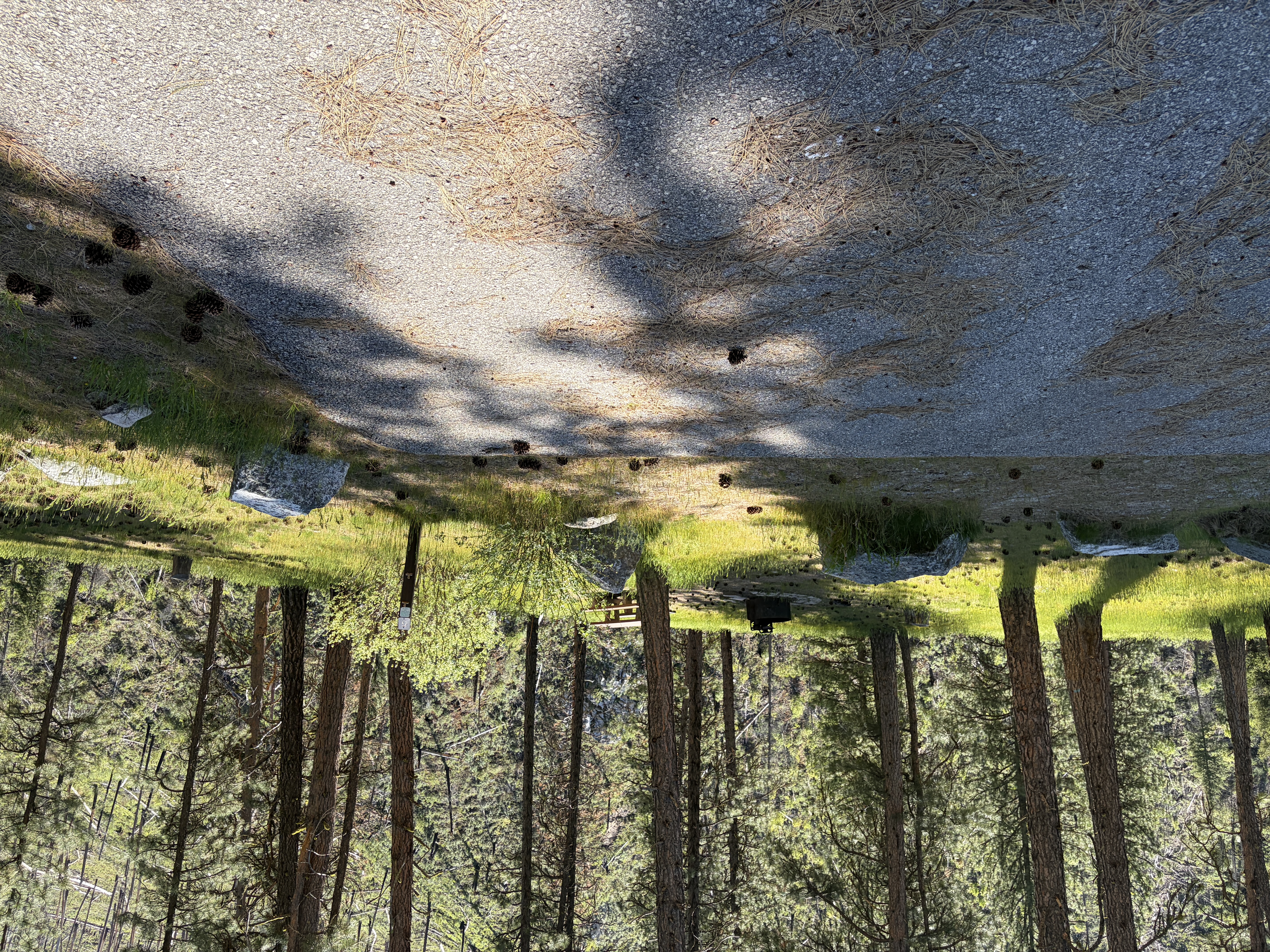 Pine Flats Campground - Campsites