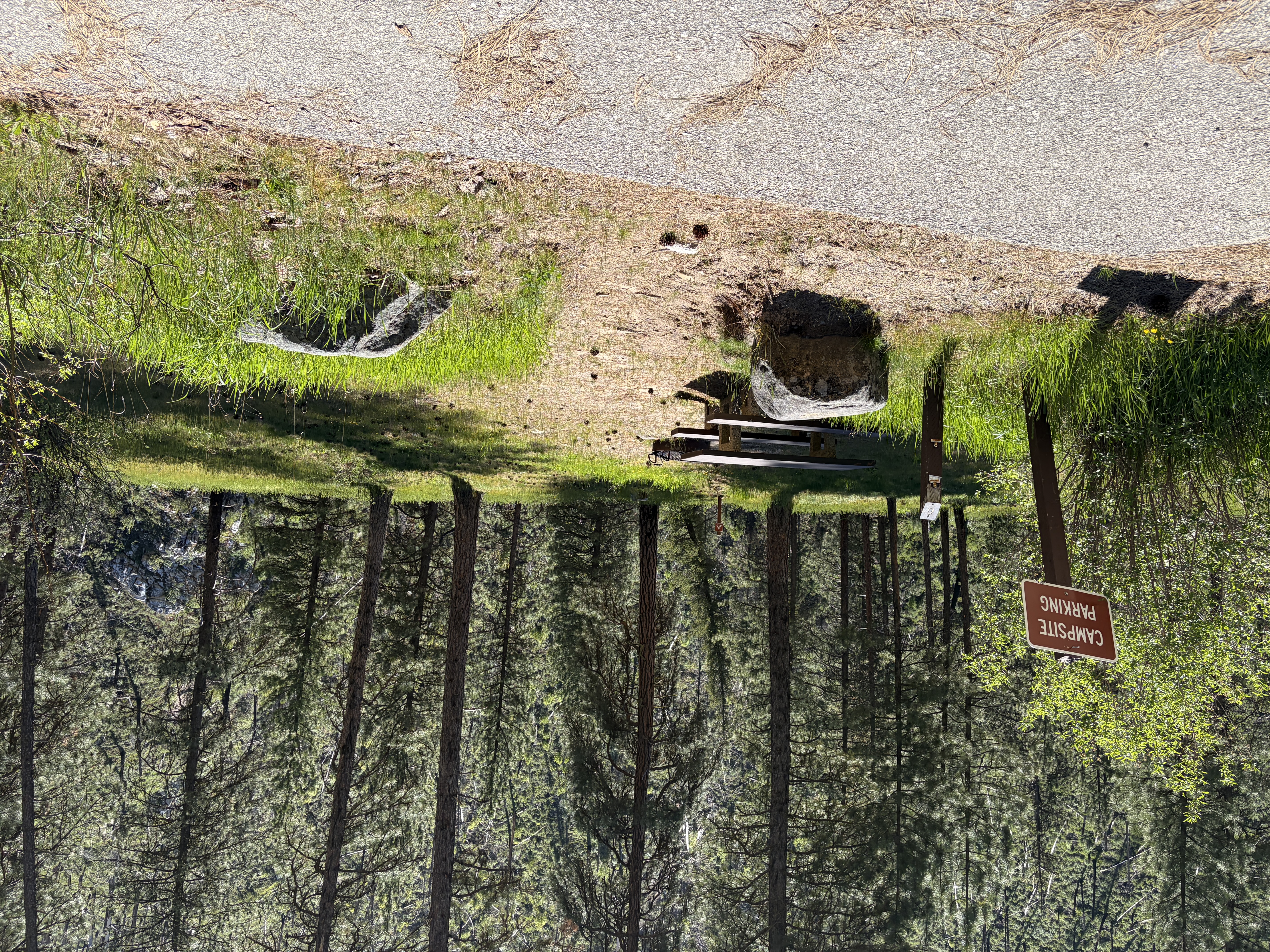 Pine Flats Campground - Campsites