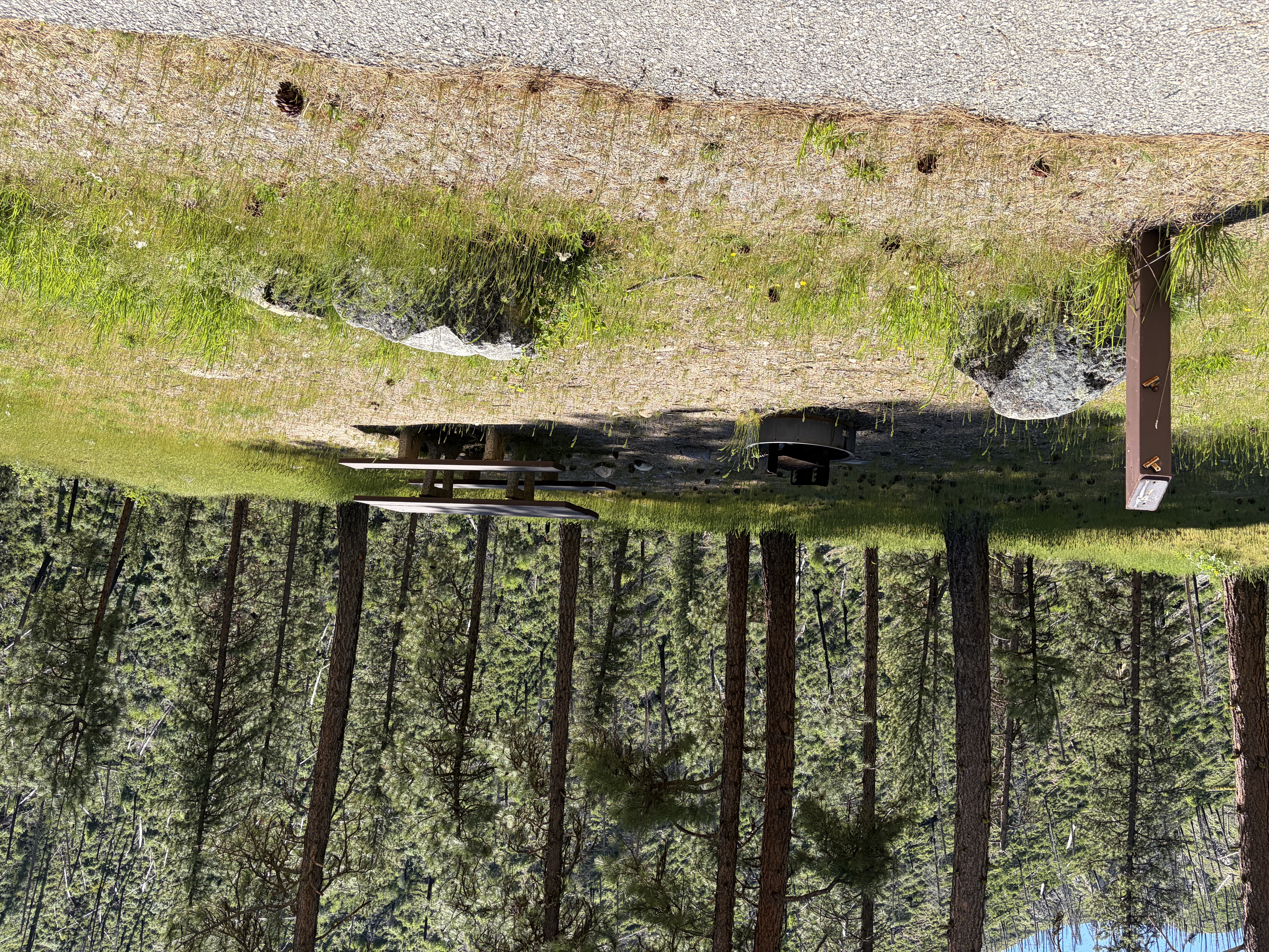 Pine Flats Campground - Campsites