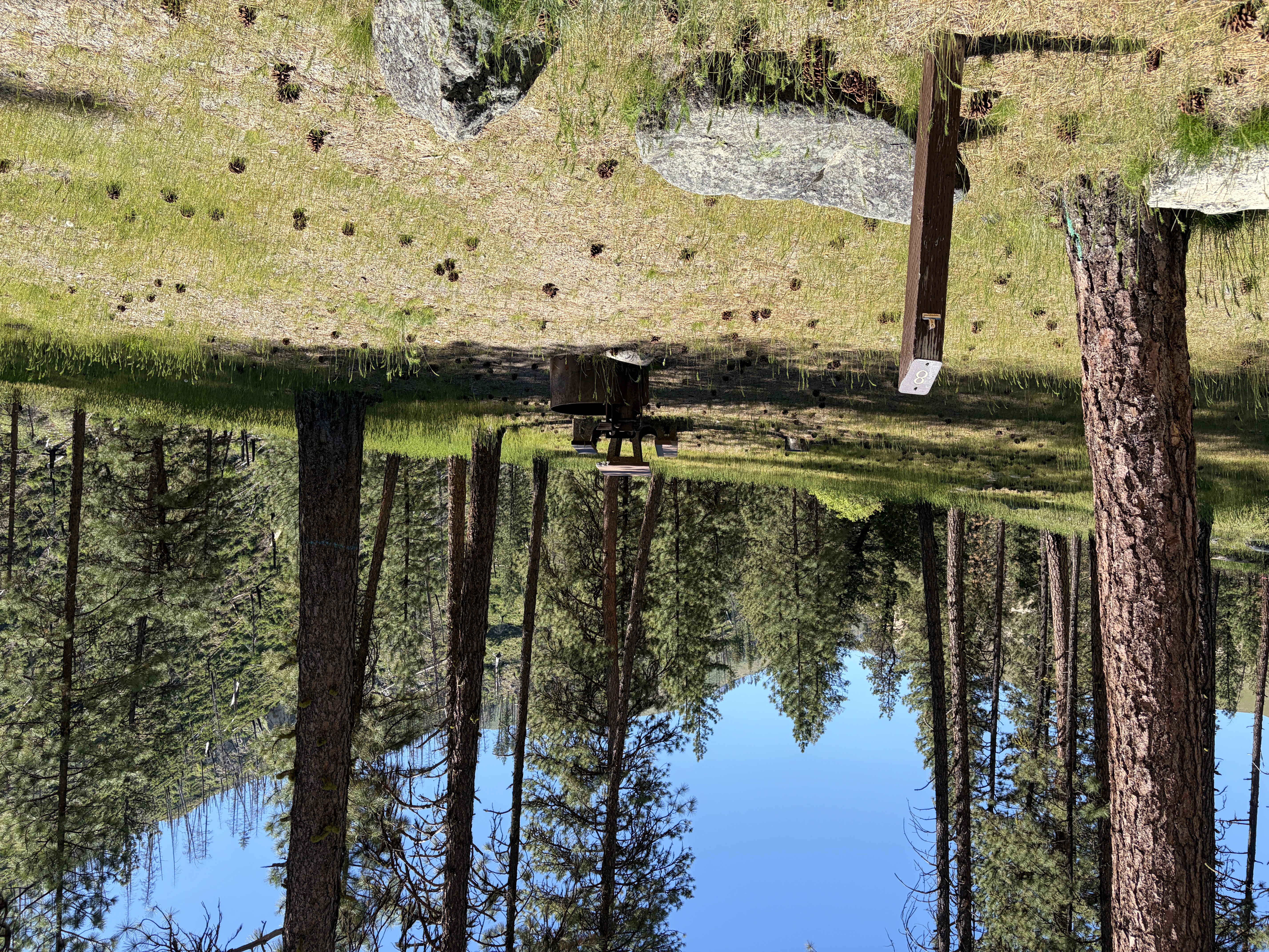 Pine Flats Campground - Campsites