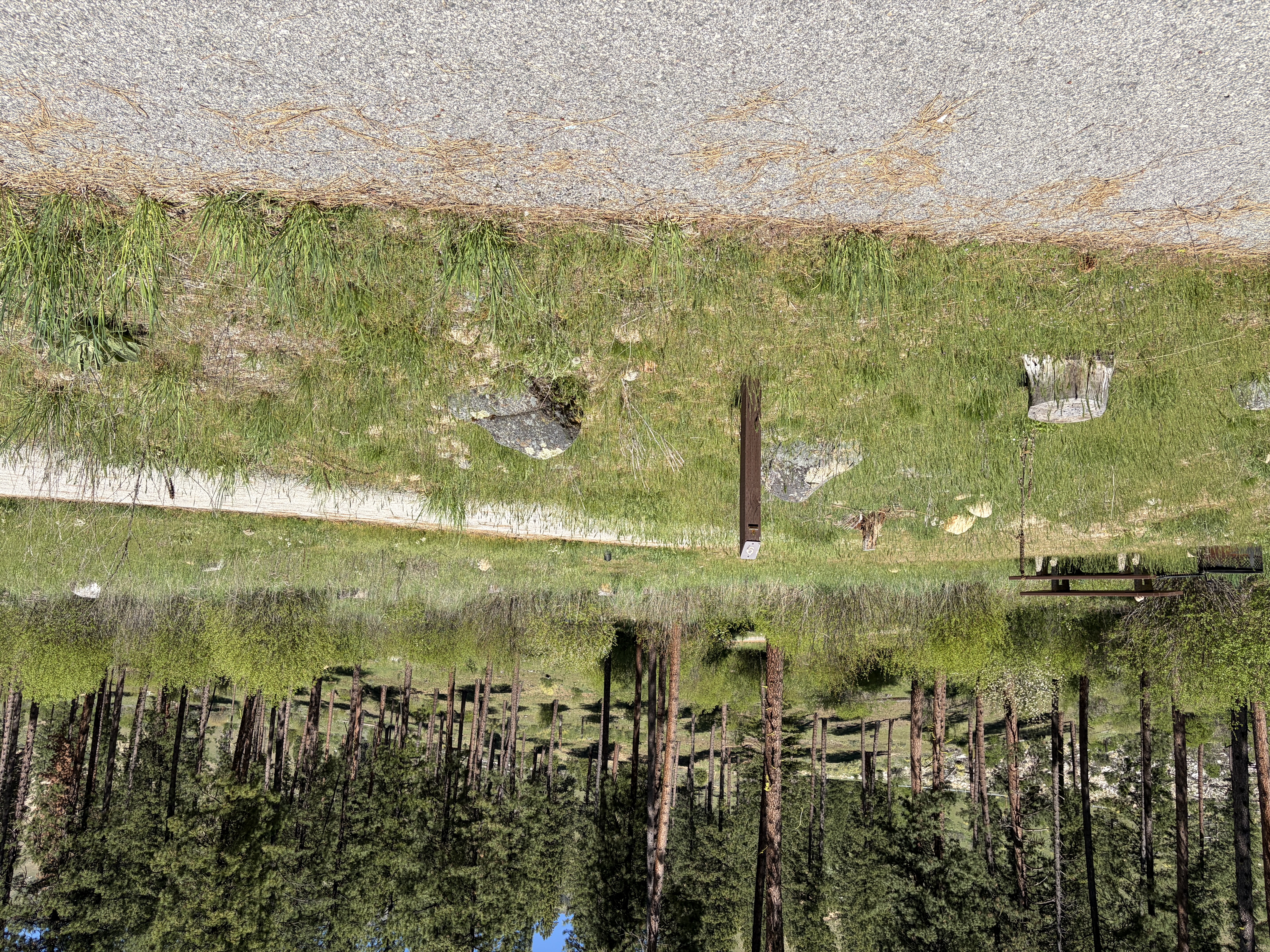 Pine Flats Campground - Campsites