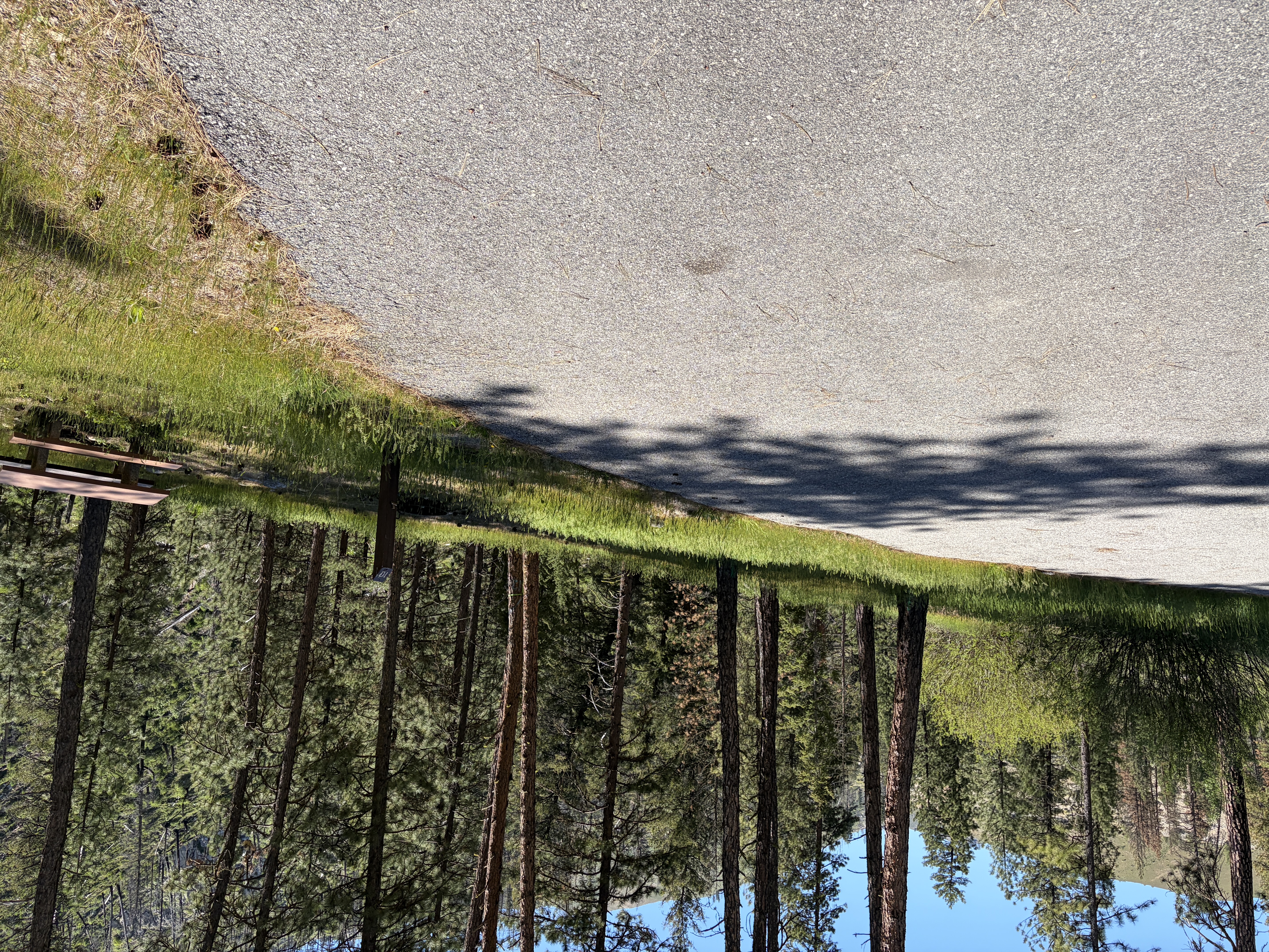 Pine Flats Campground - Campsites