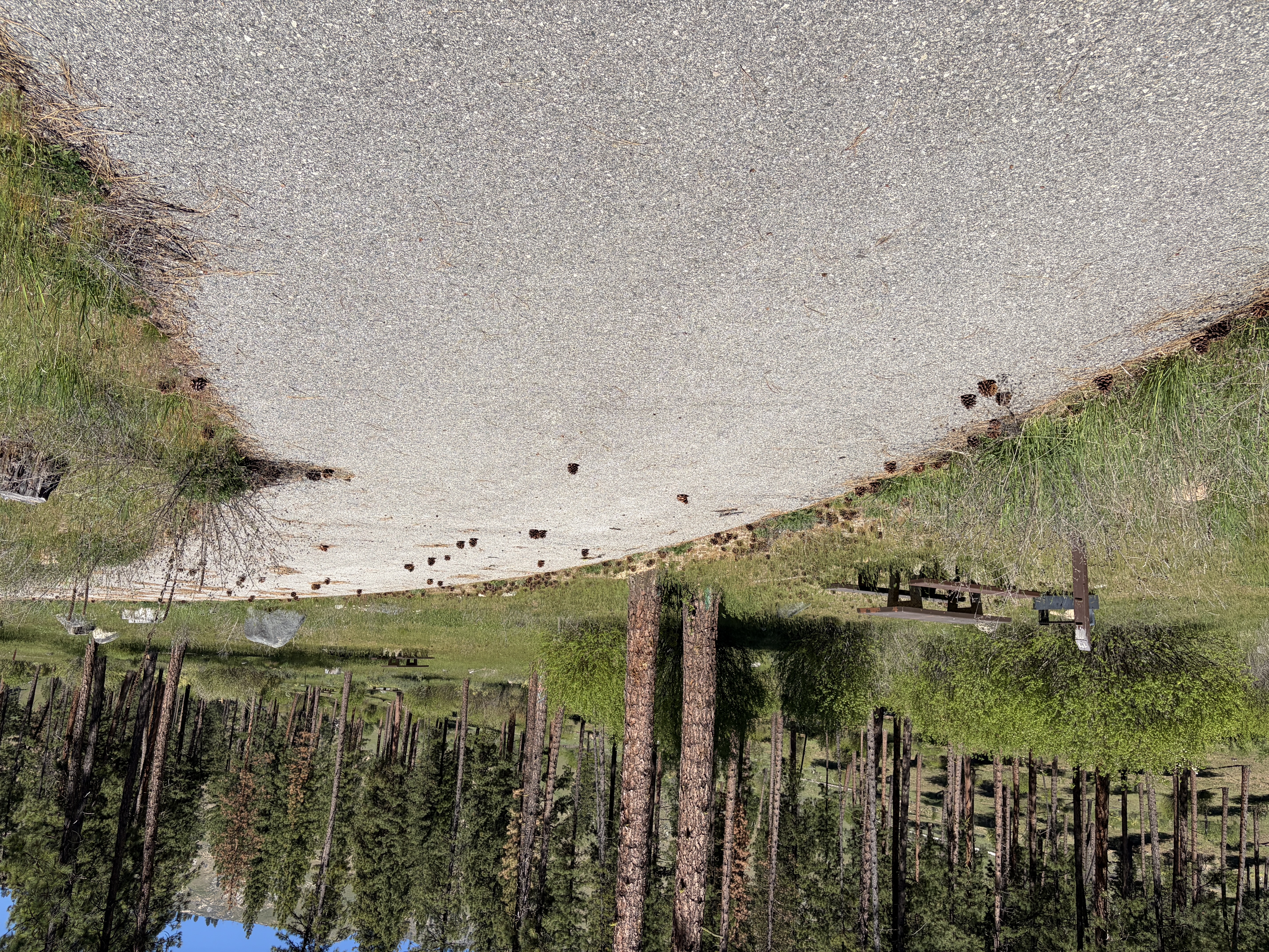 Pine Flats Campground - Campsites