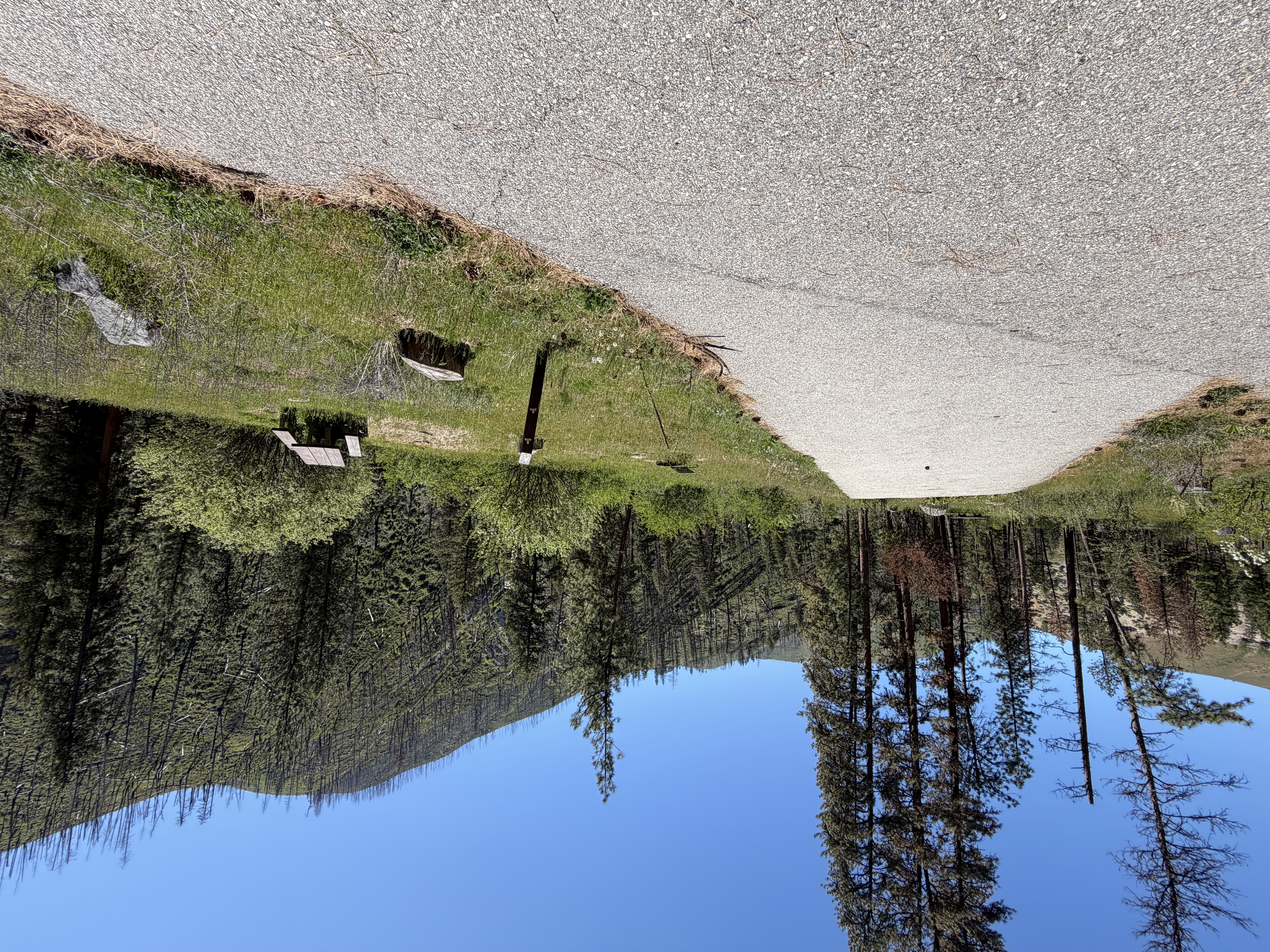 Pine Flats Campground - Campsites