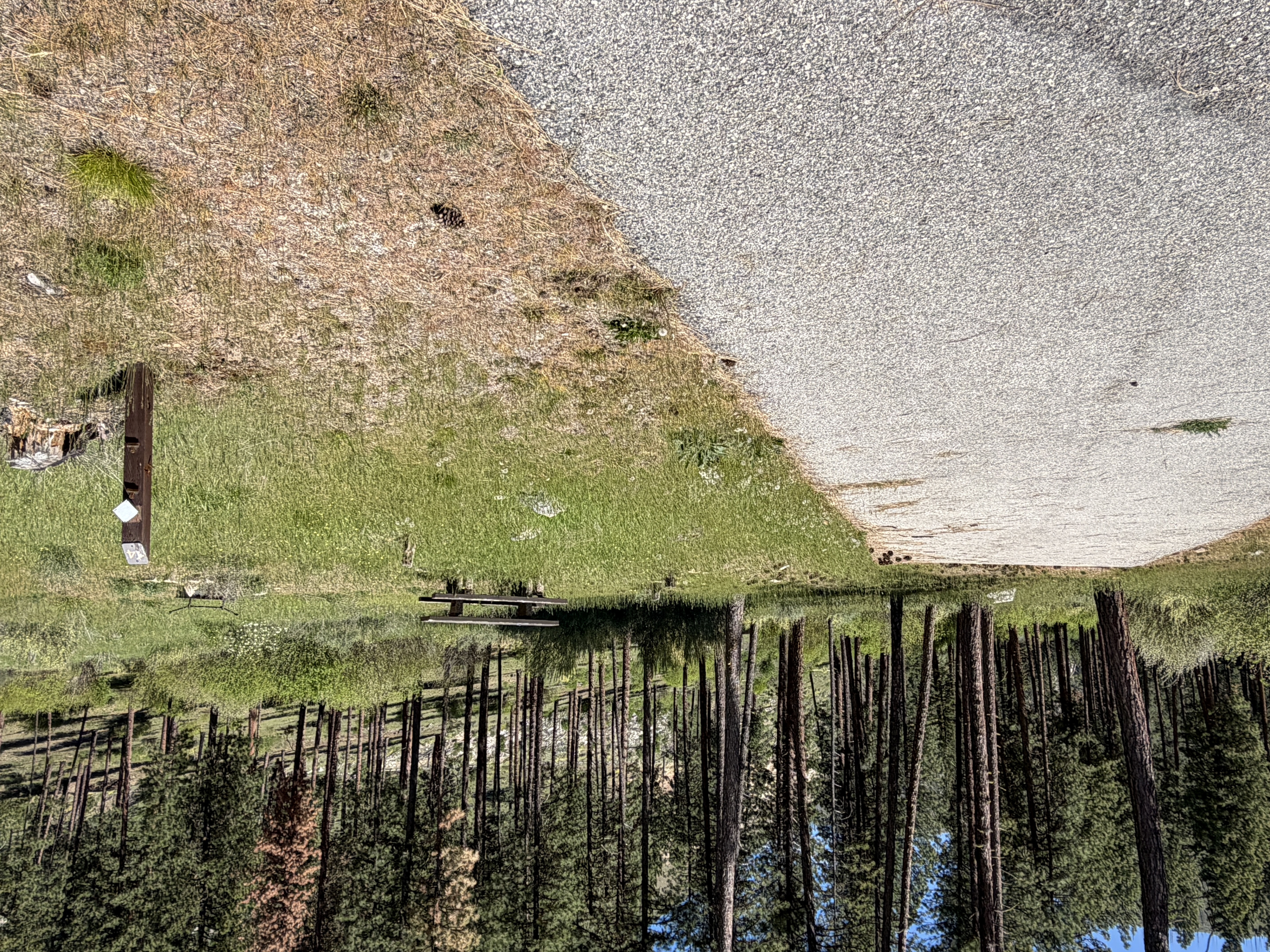 Pine Flats Campground - Campsites