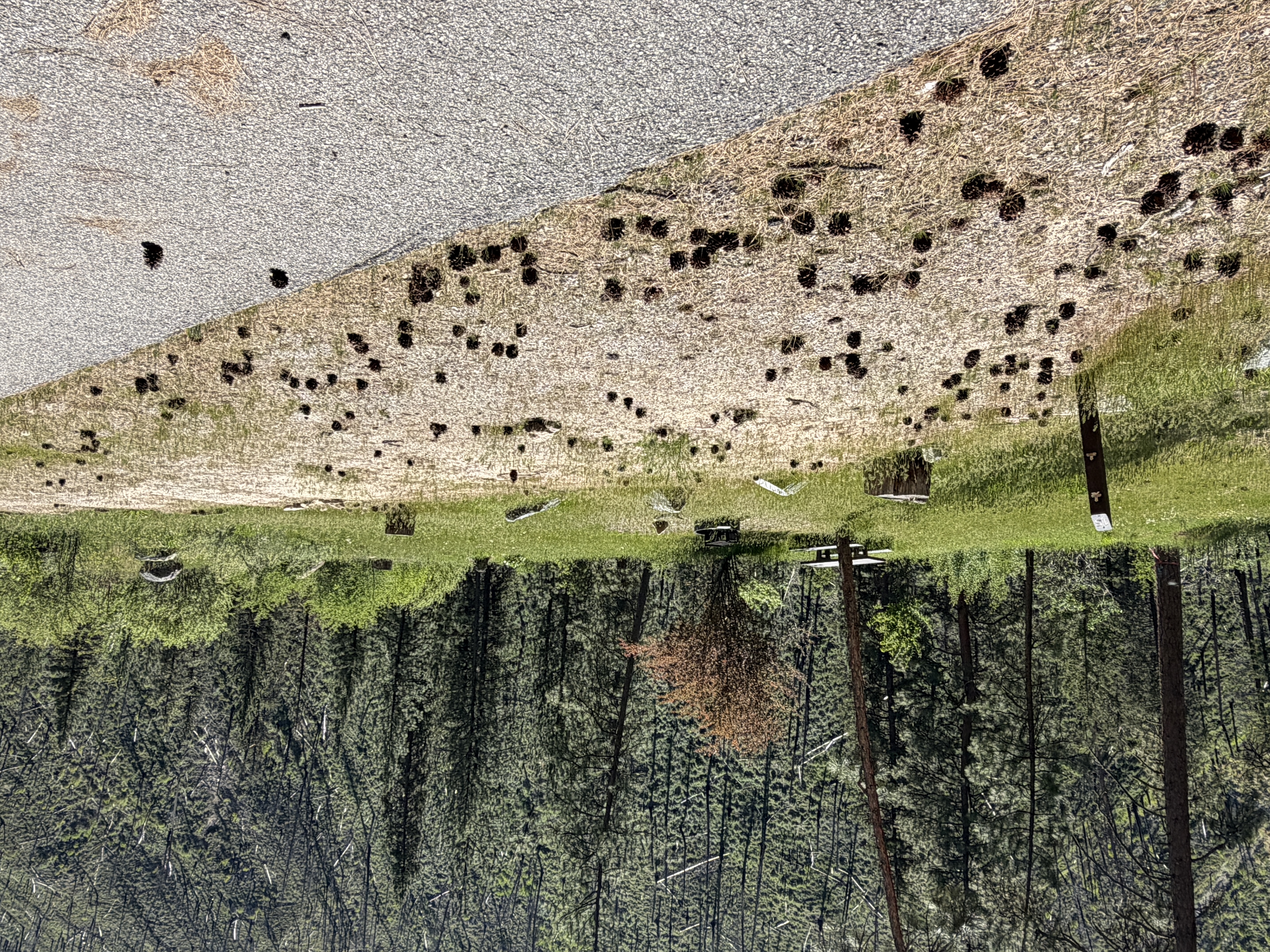 Pine Flats Campground - Campsites