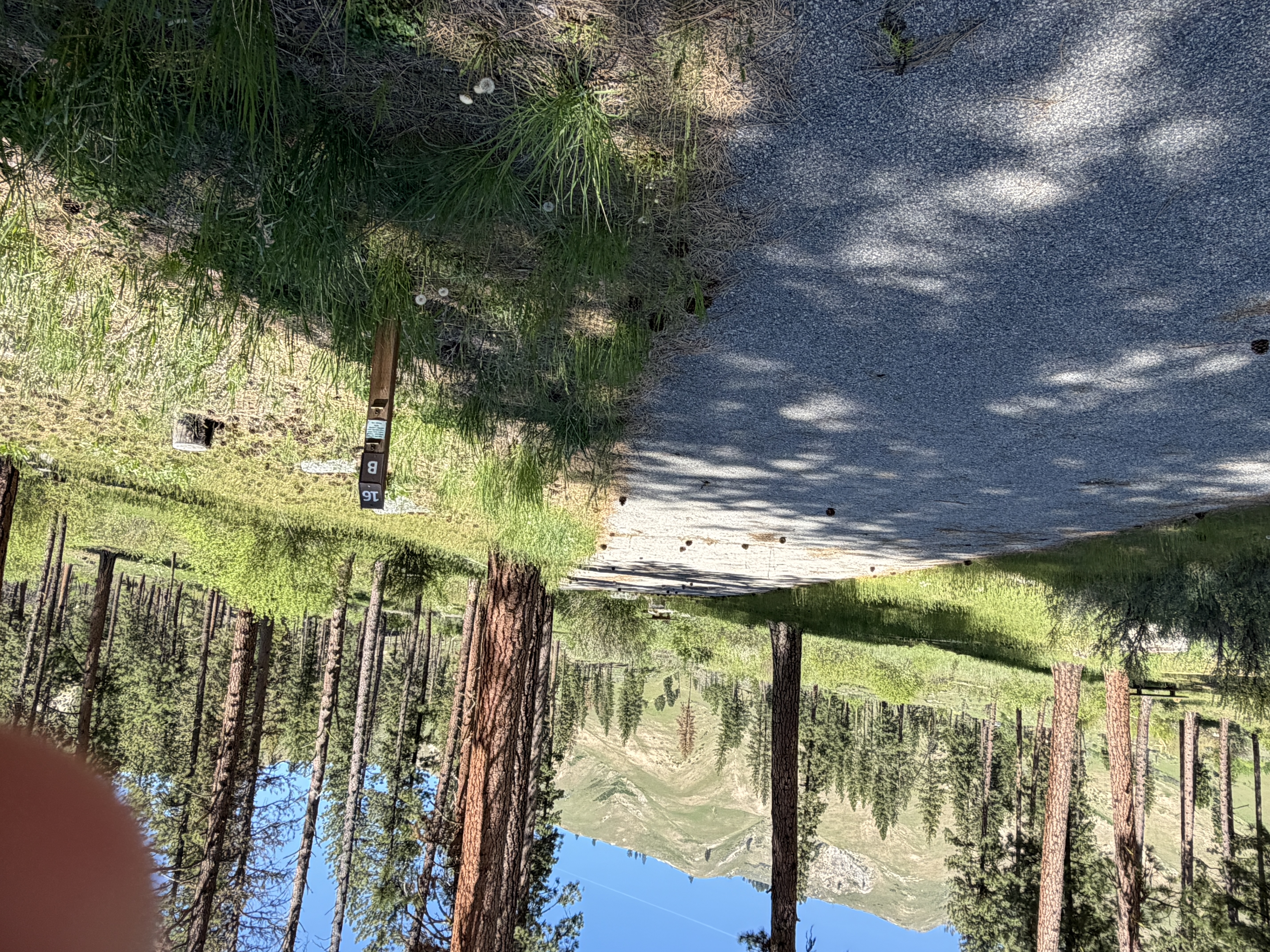 Pine Flats Campground - Campsites