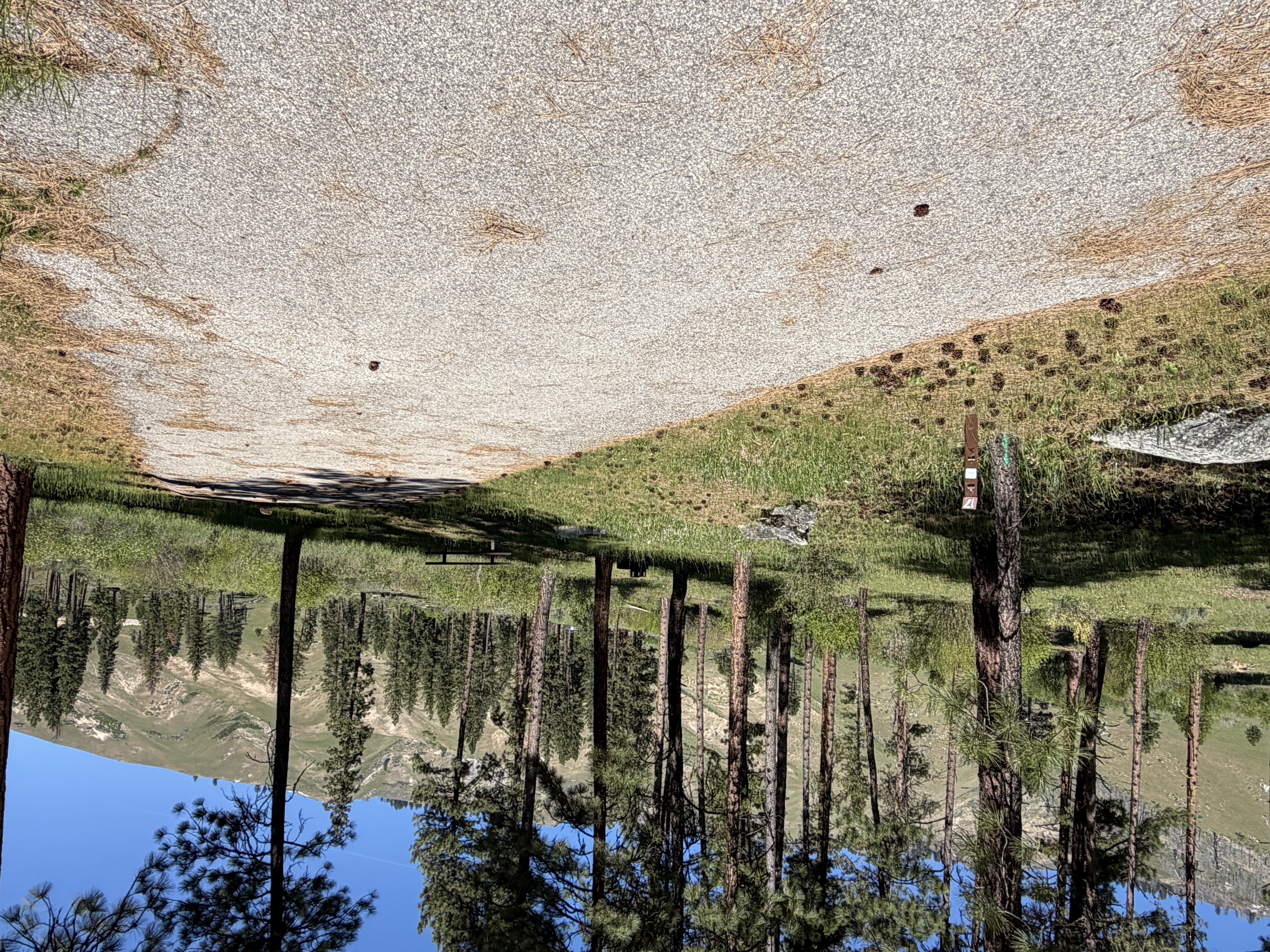 Pine Flats Campground - Campsites