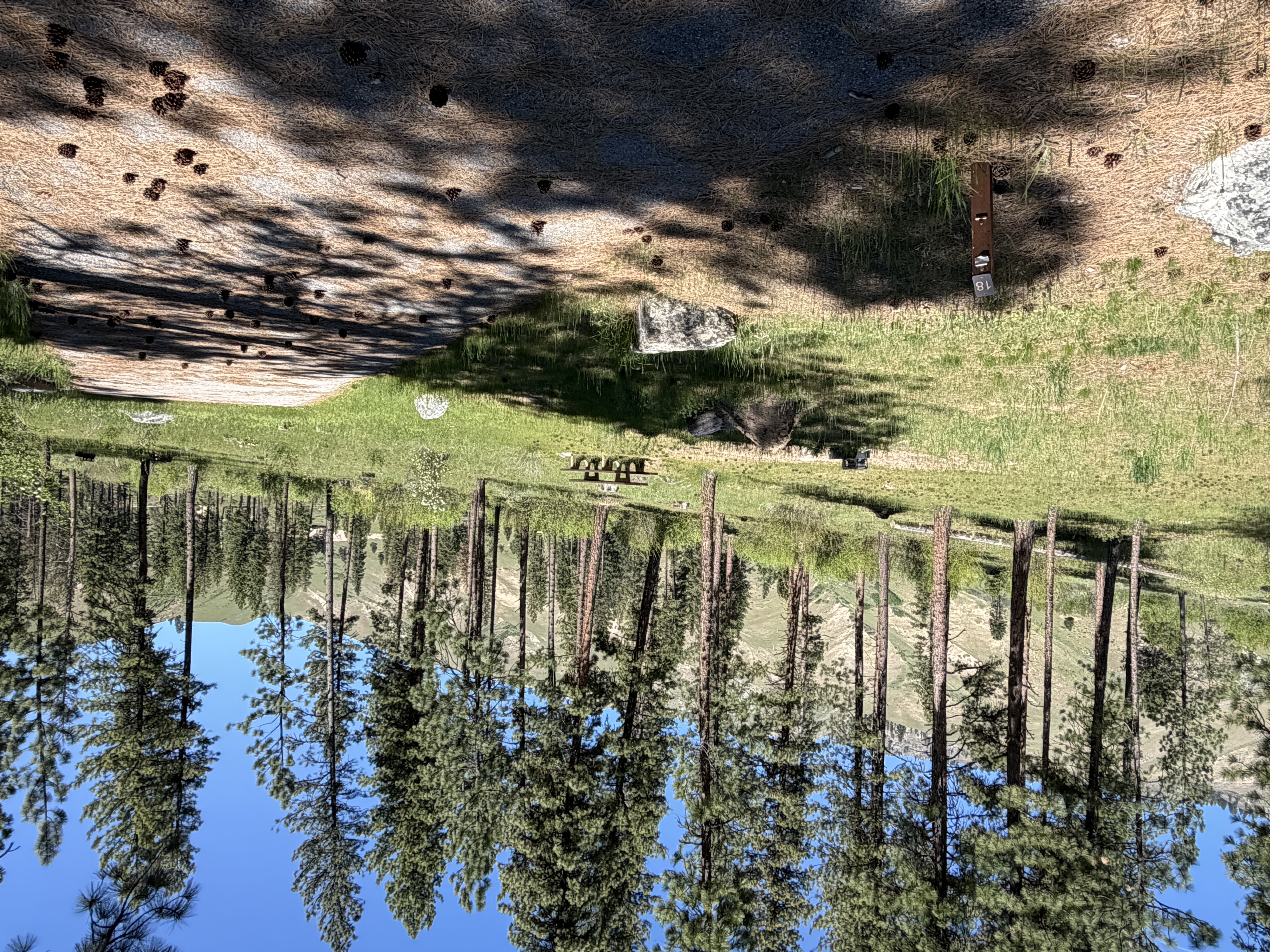 Pine Flats Campground - Campsites
