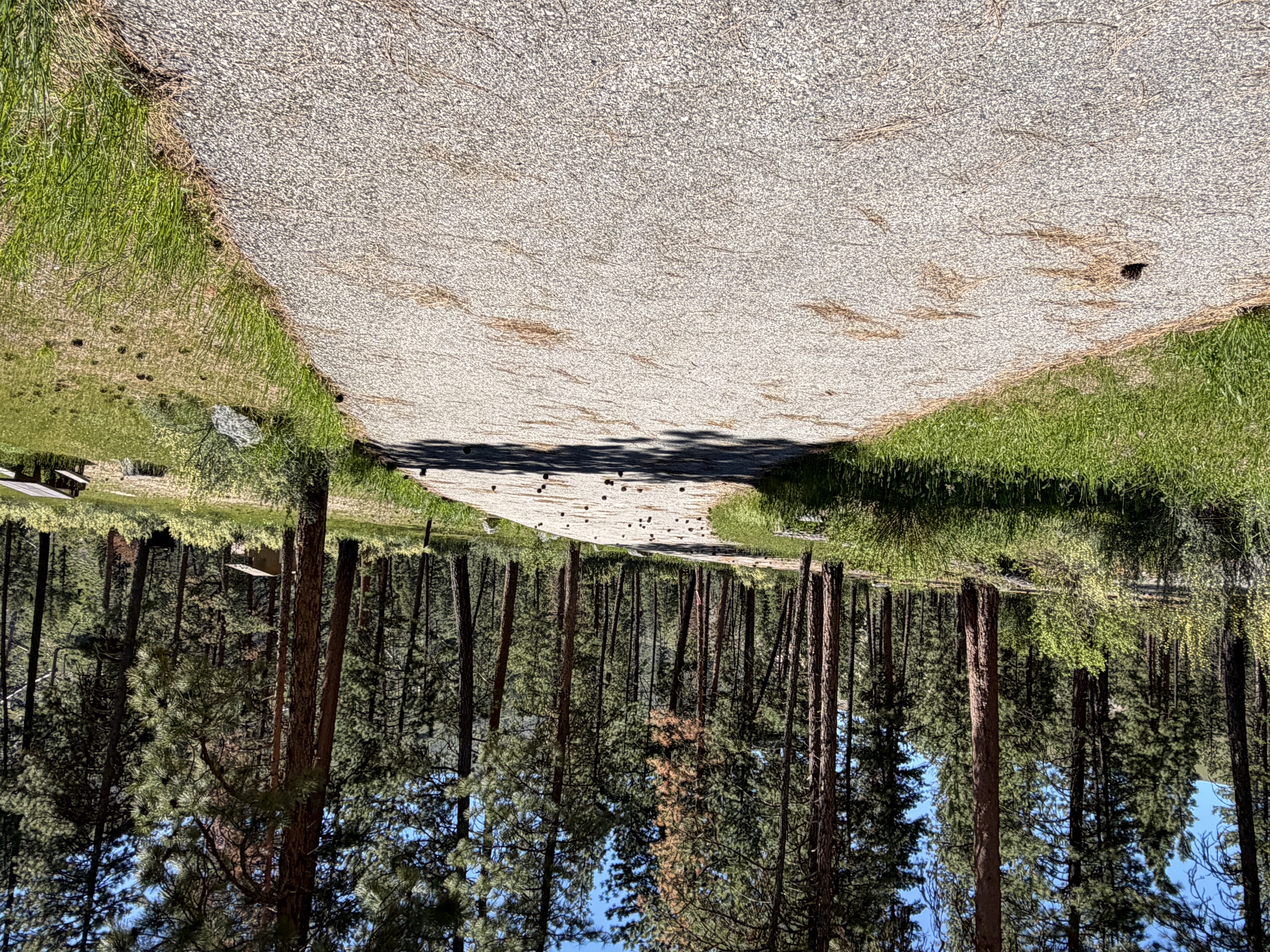 Pine Flats Campground - Campsites