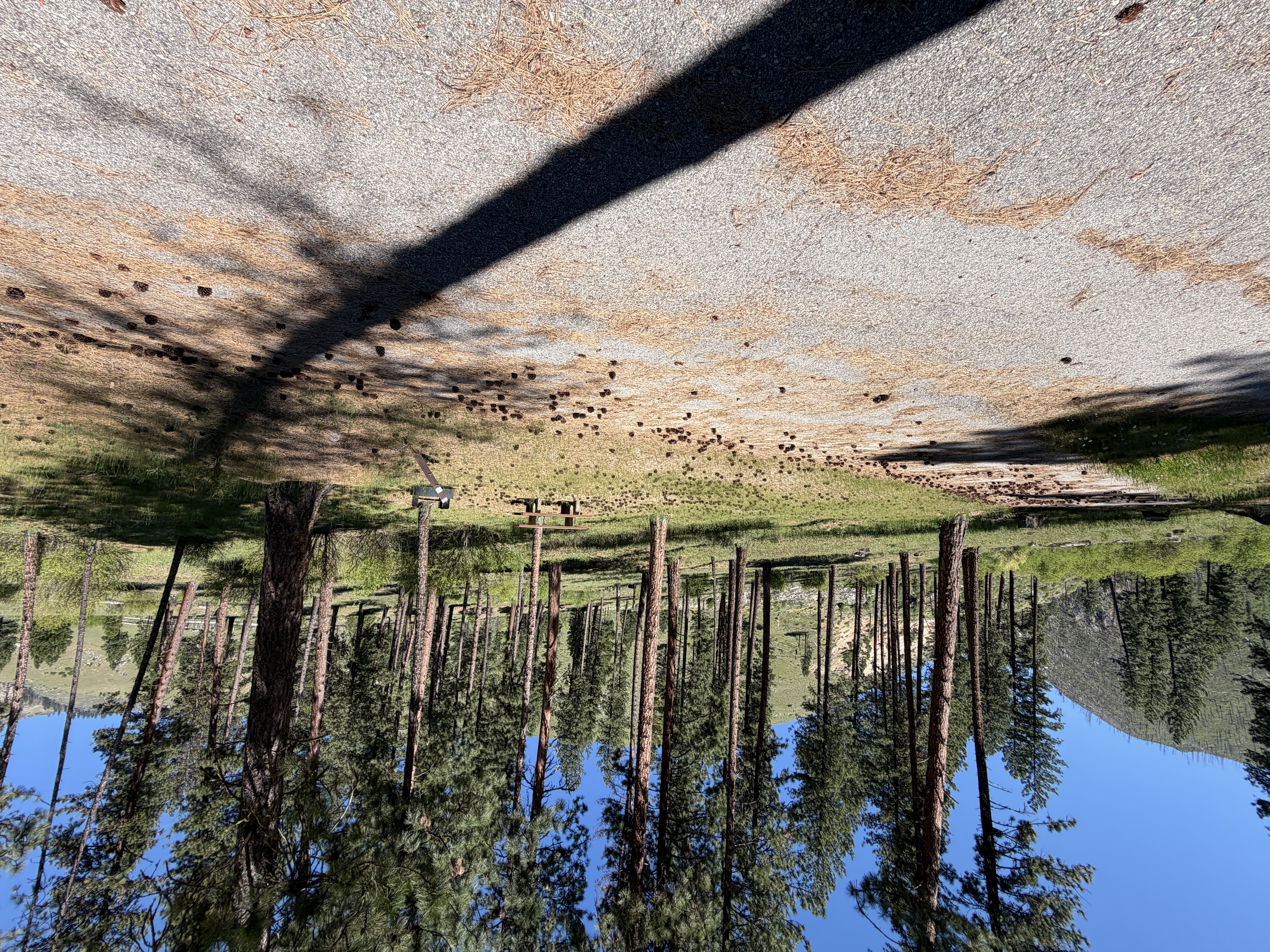 Pine Flats Campground - Campsites